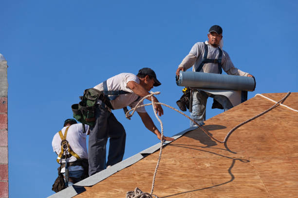Best New Roof Installation  in Fox Crossing, WI