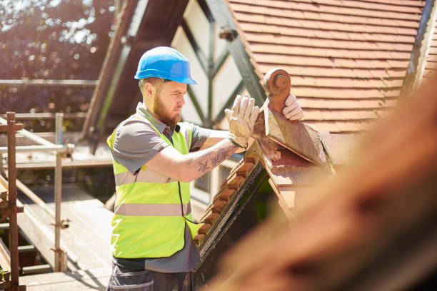 Roof Gutter Cleaning in Fox Crossing, WI
